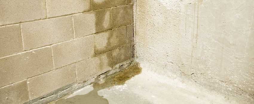 Basement Moisture